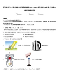 浙江省嘉兴市上海外国语大秀洲外国语学校2023-2024学年物理九年级第一学期期末达标检测模拟试题含答案