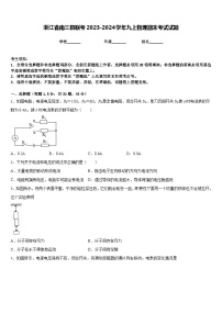 浙江省南三县联考2023-2024学年九上物理期末考试试题含答案