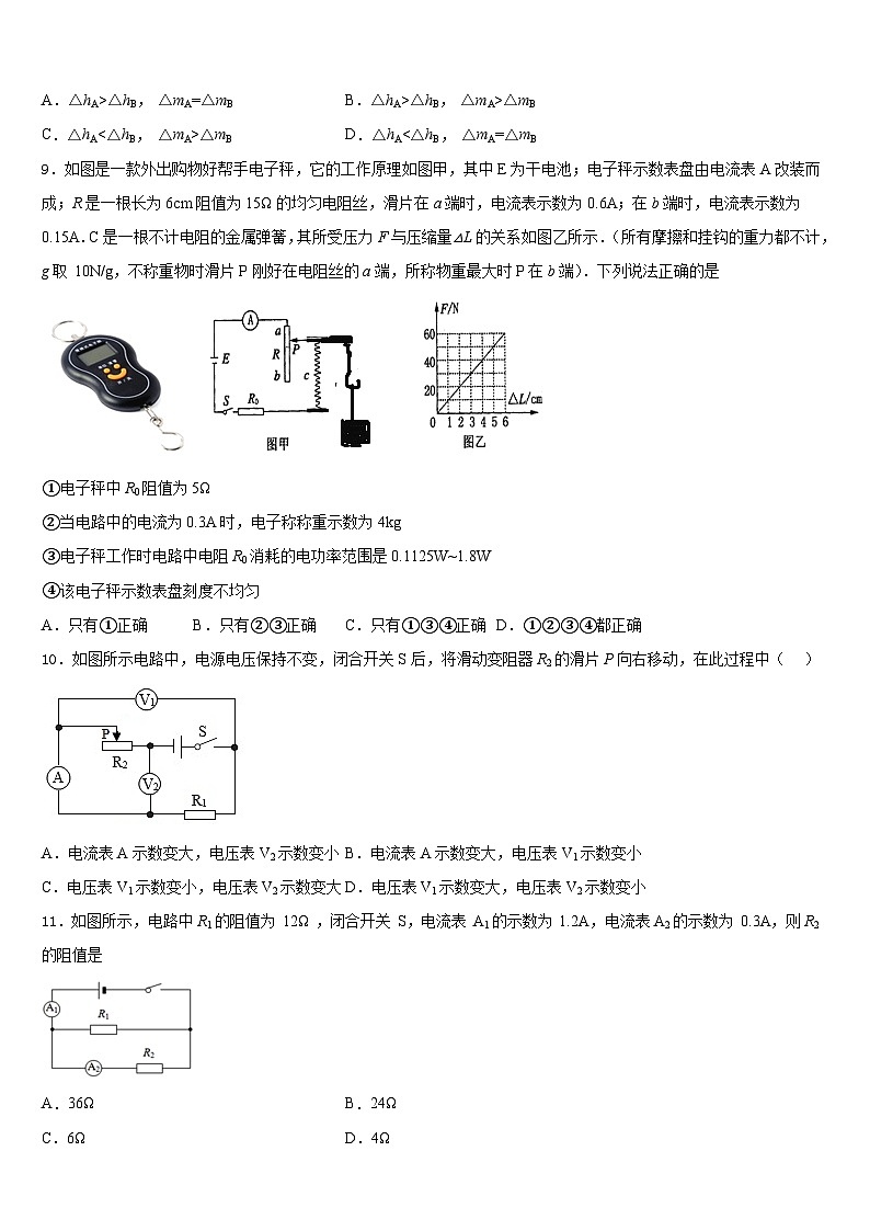 浙江省宁波市海曙区2023-2024学年九年级物理第一学期期末达标检测模拟试题含答案第3页