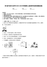 浙江省宁波市江北中学2023-2024学年物理九上期末教学质量检测模拟试题含答案