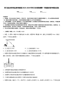 浙江省台州市海山教育联盟2023-2024学年九年级物理第一学期期末联考模拟试题含答案