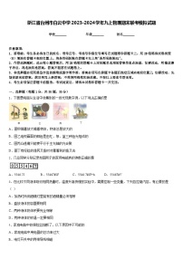 浙江省台州市白云中学2023-2024学年九上物理期末联考模拟试题含答案