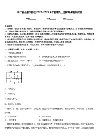 浙江省台州市名校2023-2024学年物理九上期末联考模拟试题含答案