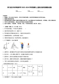 浙江省义乌市绣湖中学2023-2024学年物理九上期末达标检测模拟试题含答案