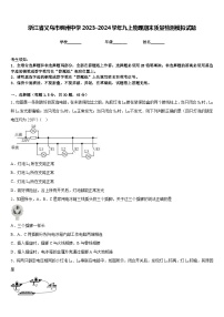 浙江省义乌市稠州中学2023-2024学年九上物理期末质量检测模拟试题含答案