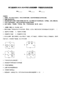 浙江省湖州市2023-2024学年九年级物理第一学期期末达标测试试题含答案