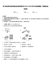 浙江省杭州市杭州市萧山区高桥初级中学2023-2024学年九年级物理第一学期期末监测试题含答案