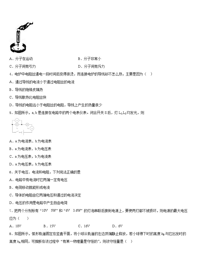 浙江省杭州市景芳中学2023-2024学年物理九年级第一学期期末监测试题含答案第2页