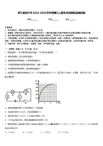 浙江省绍兴市2023-2024学年物理九上期末质量跟踪监视试题含答案