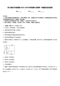 浙江省绍兴市新昌县2023-2024学年物理九年级第一学期期末监测试题含答案