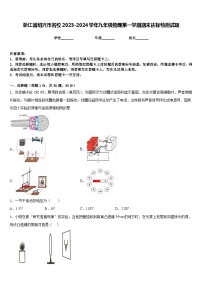 浙江省绍兴市名校2023-2024学年九年级物理第一学期期末达标检测试题含答案