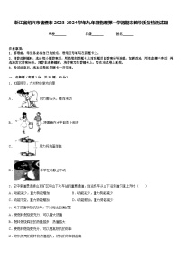 浙江省绍兴市诸暨市2023-2024学年九年级物理第一学期期末教学质量检测试题含答案