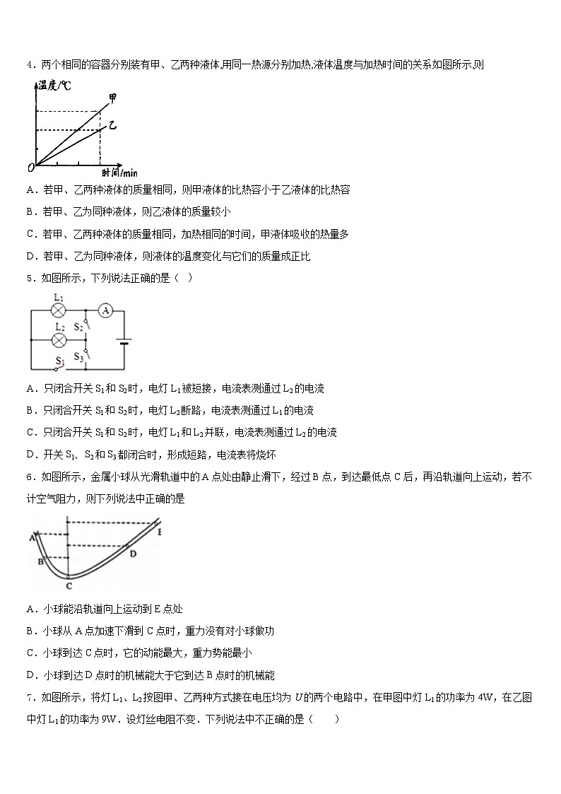 浙江省绍兴市诸暨市2023-2024学年九年级物理第一学期期末教学质量检测试题含答案第2页