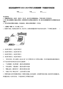 湖北恩施崔坝中学2023-2024学年九年级物理第一学期期末检测试题含答案