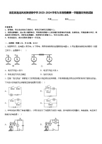 湖北恩施龙凤民族初级中学2023-2024学年九年级物理第一学期期末预测试题含答案