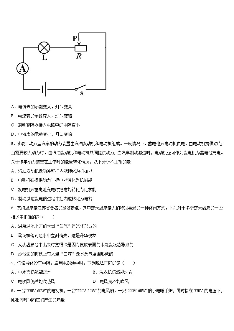 海南省三亚市2023-2024学年九年级物理第一学期期末经典试题含答案第2页