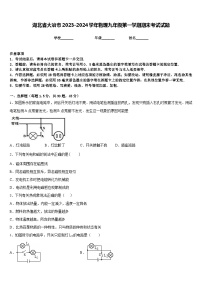 湖北省大冶市2023-2024学年物理九年级第一学期期末考试试题含答案