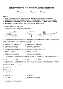 湖北省咸宁市马桥中学2023-2024学年九上物理期末监测模拟试题含答案