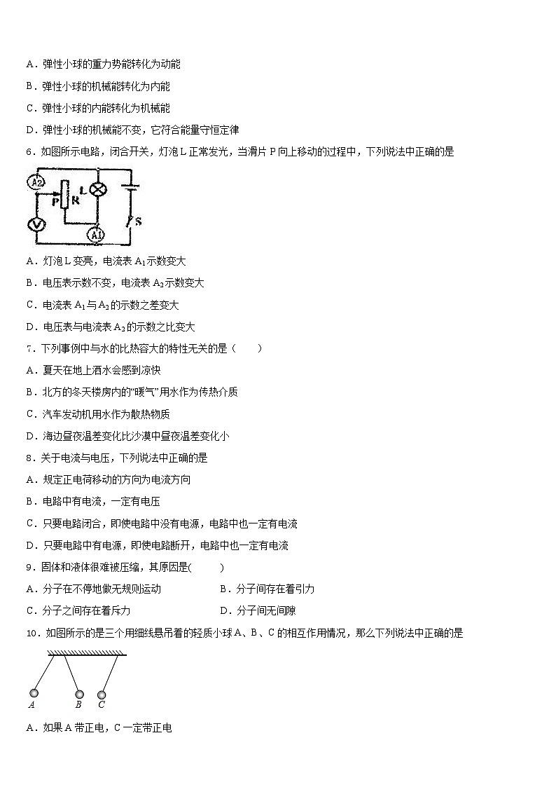 浙江省绍兴市新昌县2023-2024学年物理九上期末学业水平测试模拟试题含答案02