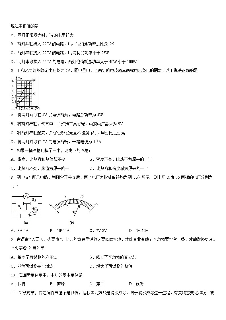 海南省琼中学黎族苗族自治县2023-2024学年九年级物理第一学期期末学业水平测试模拟试题含答案02