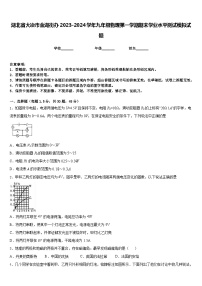 湖北省大冶市金湖街办2023-2024学年九年级物理第一学期期末学业水平测试模拟试题含答案