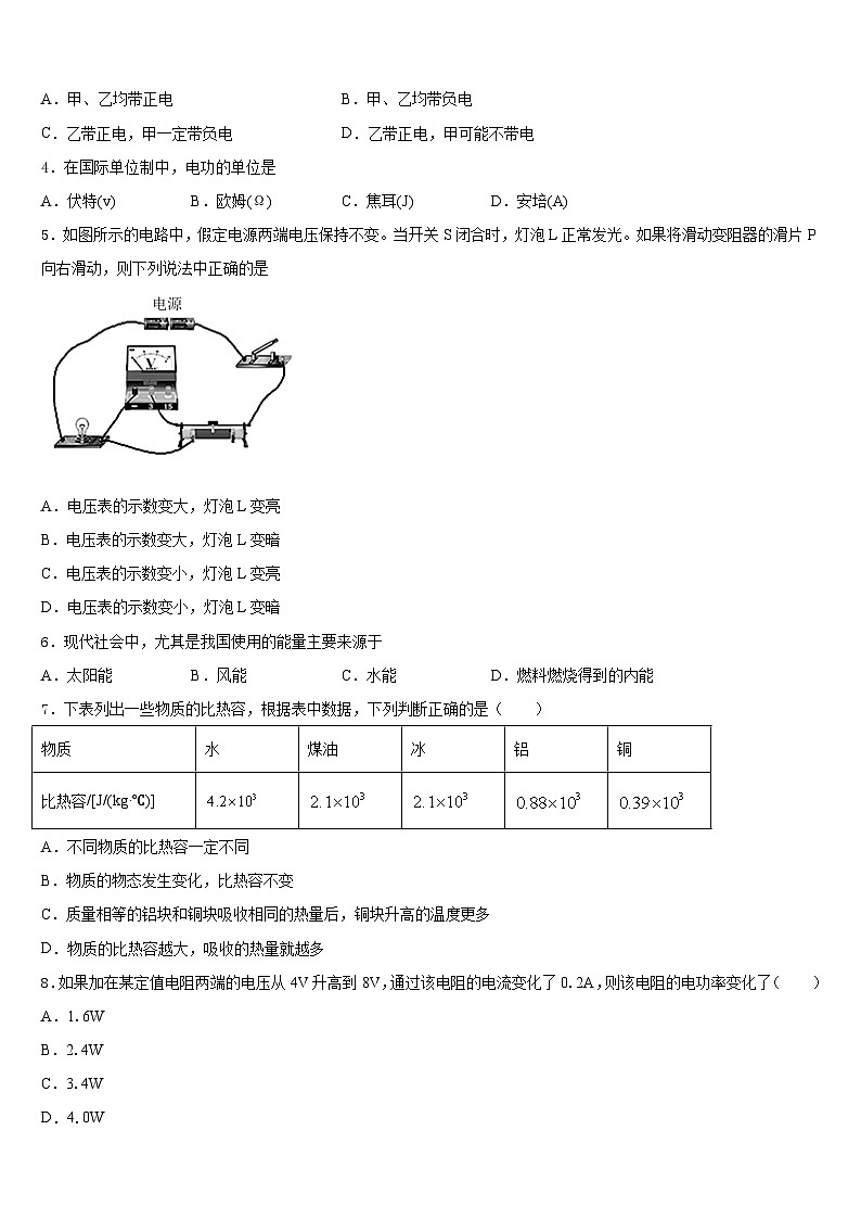 浙江省绍兴市越城区袍江中学2023-2024学年物理九年级第一学期期末统考试题含答案第2页