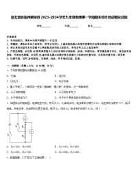 湖北省恩施州鹤峰县2023-2024学年九年级物理第一学期期末综合测试模拟试题含答案