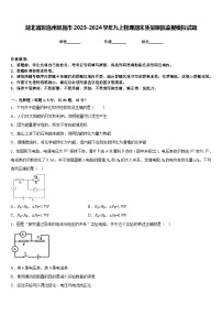 湖北省恩施州恩施市2023-2024学年九上物理期末质量跟踪监视模拟试题含答案