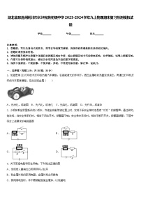 湖北省恩施州利川市长坪民族初级中学2023-2024学年九上物理期末复习检测模拟试题含答案