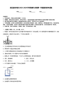 湖北省来凤县2023-2024学年物理九年级第一学期期末联考试题含答案