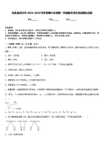 湖北省武汉市2023-2024学年物理九年级第一学期期末综合测试模拟试题含答案