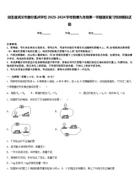 湖北省武汉市部分重点学校2023-2024学年物理九年级第一学期期末复习检测模拟试题含答案