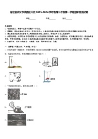 湖北省武汉市武昌区八校2023-2024学年物理九年级第一学期期末检测试题含答案