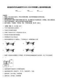 湖北省武汉市洪山高级中学2023-2024学年物理九上期末联考模拟试题含答案