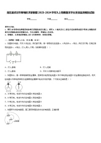 湖北省武汉市蔡甸区求新联盟2023-2024学年九上物理期末学业质量监测模拟试题含答案