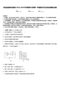 湖北省宜昌市高新区2023-2024学年物理九年级第一学期期末学业质量监测模拟试题含答案