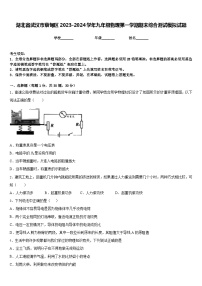 湖北省武汉市蔡甸区2023-2024学年九年级物理第一学期期末综合测试模拟试题含答案