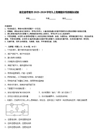 湖北省枣阳市2023-2024学年九上物理期末检测模拟试题含答案