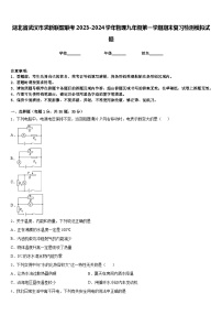 湖北省武汉市求新联盟联考2023-2024学年物理九年级第一学期期末复习检测模拟试题含答案