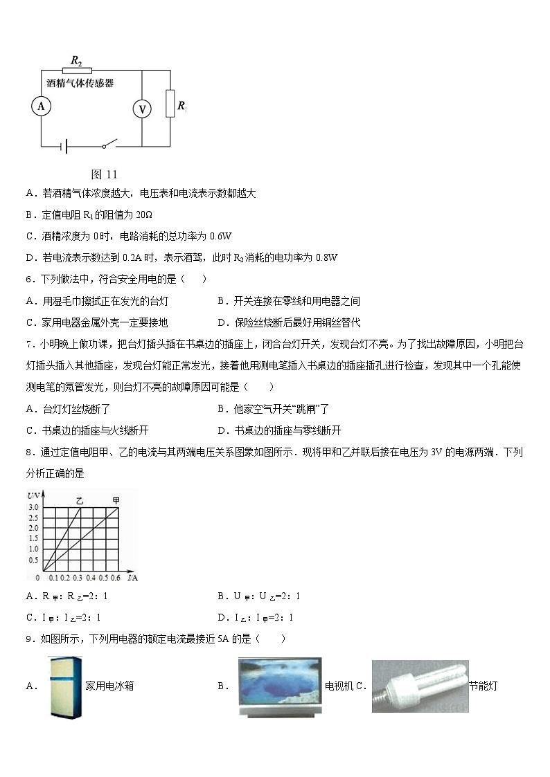 湖北省鄂州市2023-2024学年物理九年级第一学期期末监测模拟试题含答案02