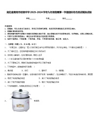 湖北省黄冈市初级中学2023-2024学年九年级物理第一学期期末综合测试模拟试题含答案