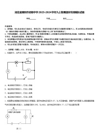 湖北省黄冈市初级中学2023-2024学年九上物理期末检测模拟试题含答案