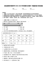 湖北省黄冈市黄冈中学2023-2024学年物理九年级第一学期期末复习检测试题含答案