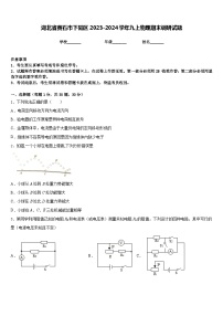 湖北省黄石市下陆区2023-2024学年九上物理期末调研试题含答案