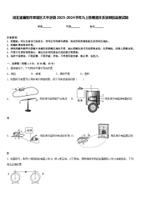 湖北省襄阳市樊城区太平店镇2023-2024学年九上物理期末质量跟踪监视试题含答案