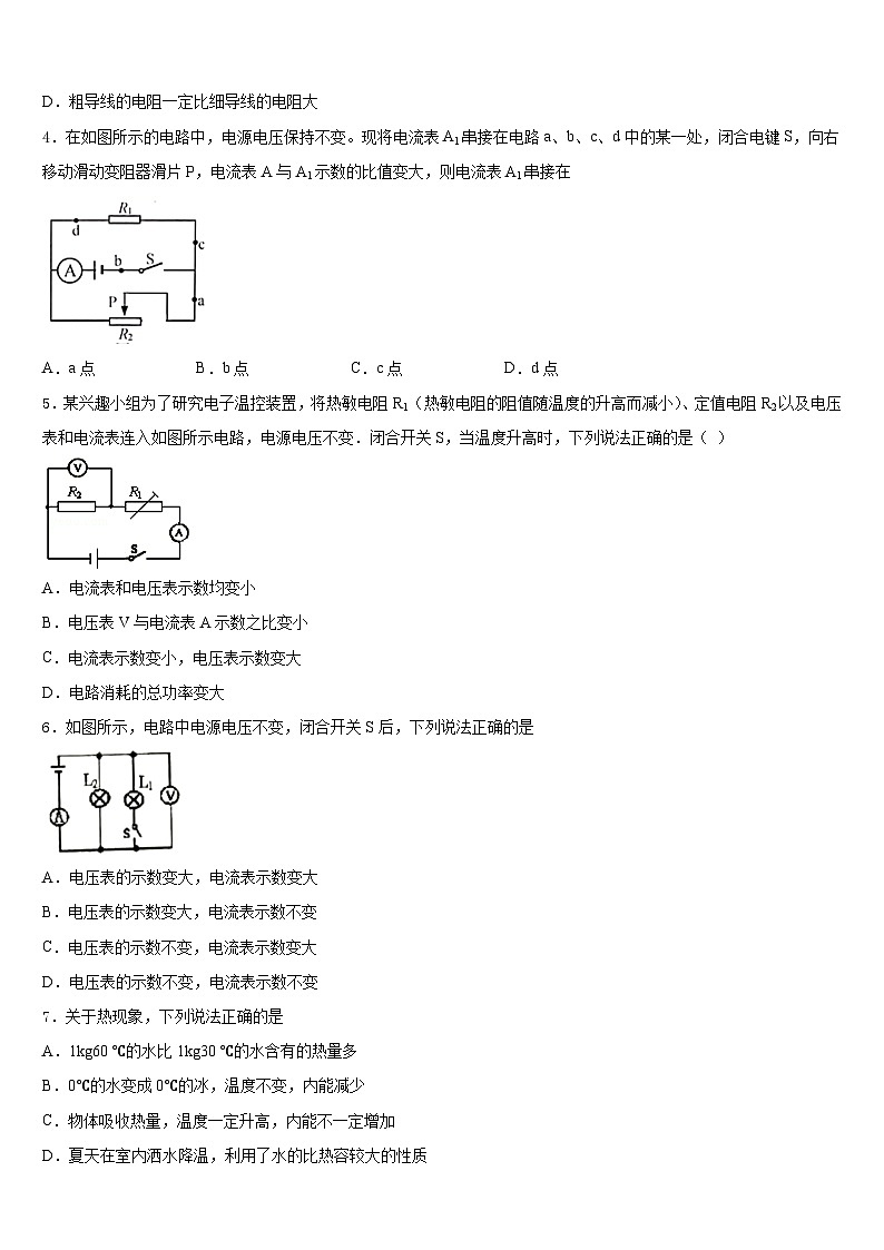 湖北省麻城市张家畈镇中学2023-2024学年物理九上期末考试试题含答案02