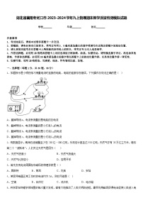 湖北省襄阳老河口市2023-2024学年九上物理期末教学质量检测模拟试题含答案