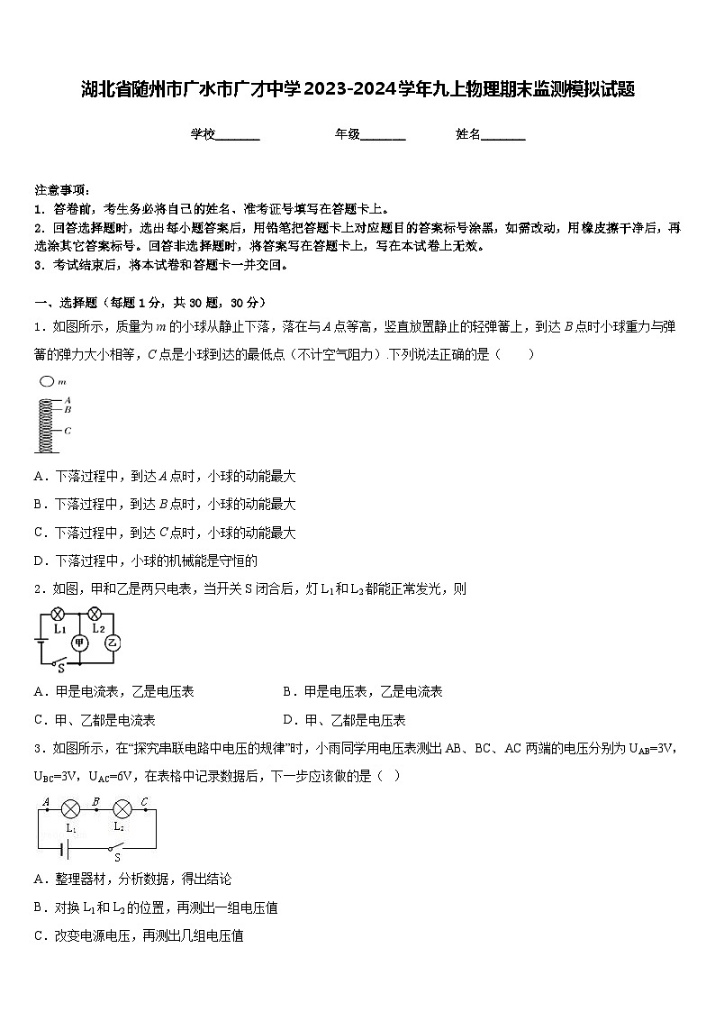 湖北省随州市广水市广才中学2023-2024学年九上物理期末监测模拟试题含答案01