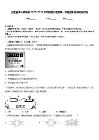 湖北省浠水县联考2023-2024学年物理九年级第一学期期末统考模拟试题含答案