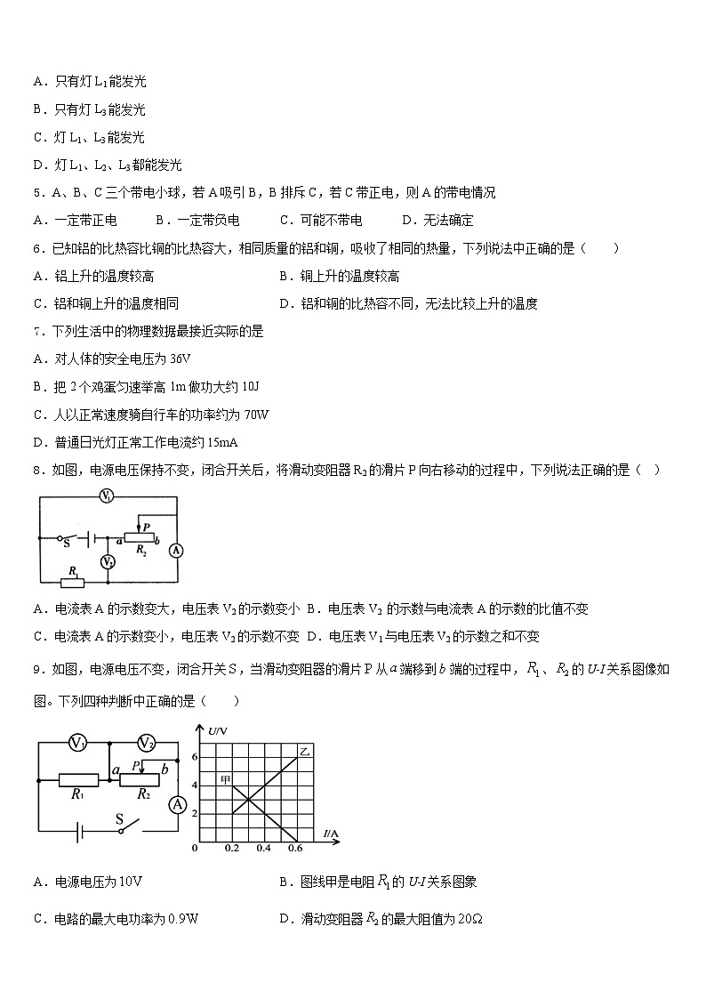 湖北省随州市广水市2023-2024学年九年级物理第一学期期末教学质量检测试题含答案第2页